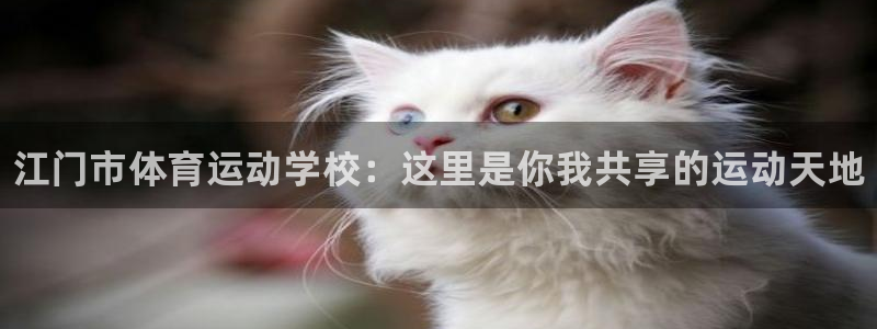 米兰体育官网下载招商电话:江门市体育运动学校:这里是你我共享