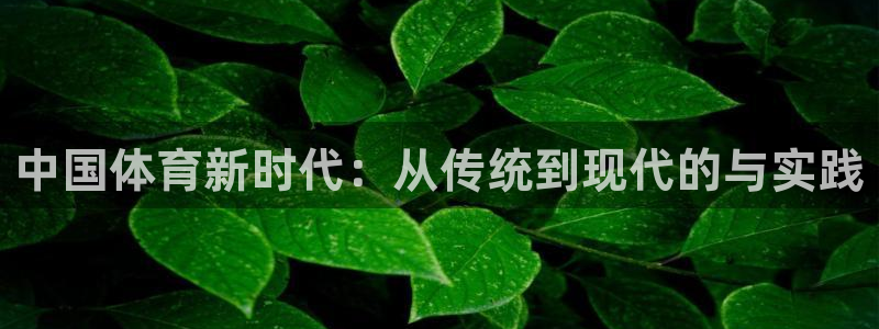 米兰体育官网下载:中国体育新时代:从传统到现代的与实践