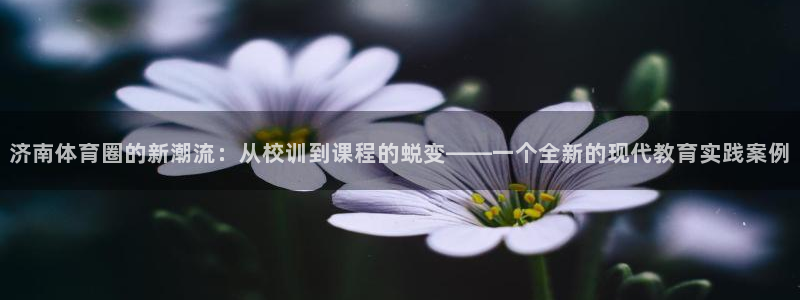 海南米兰体育官网下载发展怎么样:济南体育圈的新潮流:从校训到